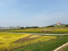 -光明小镇欢乐田园