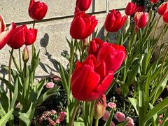 -上海市第八中学