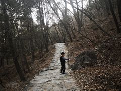 -北京上方山国家森林公园