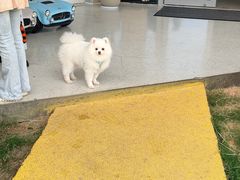 -omitofee咖啡(水泽店)