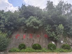 -长虫山生态公园风景林