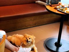 -星巴克(中远两湾城店)