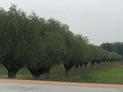 -汉长安城未央宫国家考古遗址公园