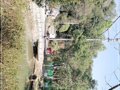 -火炉山森林公园