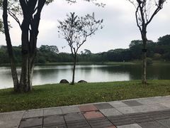 -东莞植物园