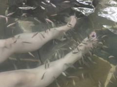 -天目湖涵田半山温泉