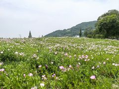 -南北湖风景区