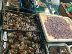 -板桥海鲜广场(文明东店)