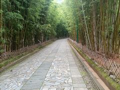 -蝴蝶泉公园