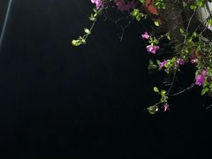 -淡水老街