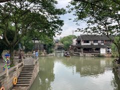 -枫泾丁氏烧卖(枫丽路店)