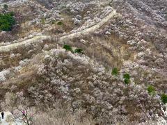 -龙泉峪长城