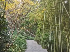 -龙头寺公园