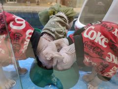 -藏猫猫咖啡主题馆(中央大道店)