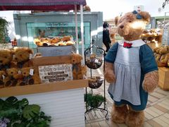 -济州岛泰迪熊博物馆