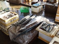 -尼甘布海鲜市场