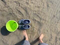 -南汇新城海滩