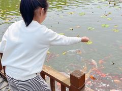 -嬉乐湾休闲旅游区
