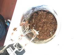 -米柚烘焙教室(工联CC店)