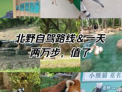 -北京野生动物园