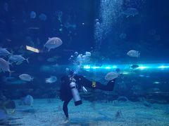 -华夏文旅海洋公园