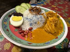 咖喱鸡肉椰浆饭-小娘惹厨房Little Nyonya(狮城有约上榜店)