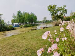 -滆湖低碳生态公园
