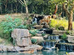 -扬州市茱萸湾风景区