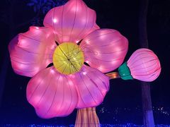 -广西壮族自治区药用植物园