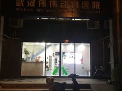 -伟伟宠物医院·CT影像中心·瑞派犬猫综合性门诊(汉口总院)