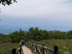 -阳台山自然风景区