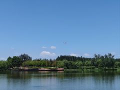 -东郊湿地公园