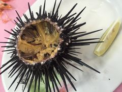 蒸海胆-阿兴生鱼片(大光路店)
