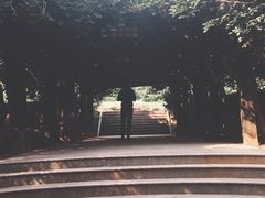 -九龙潭景区