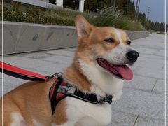 -瀛洲公园