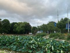 -美兰湖景区