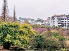 -贵阳市花溪国家城市湿地公园