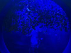 -洛阳龙门海洋馆