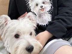 -瑞鹏宠物医院·宠保定点·心脏科·内科(御桥分院)