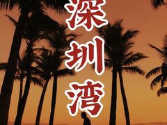 -深圳湾公园(南山区)