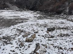 -卧龙自然保护区