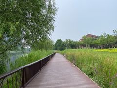 -西海子公园