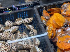 -钱山海鲜大排档