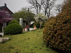 -大慈恩寺(大雁塔)