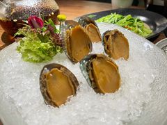 手工冰镇鲍鱼-木棉·醉心粤味(COCO Park店)