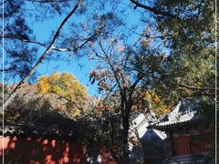 -潭柘寺景区