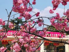 -昆明动物园