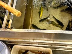 -铁锅炖灶台鱼老三炖鱼馆