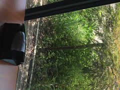 -觅境西餐厅