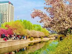 -元大都城垣遗址公园